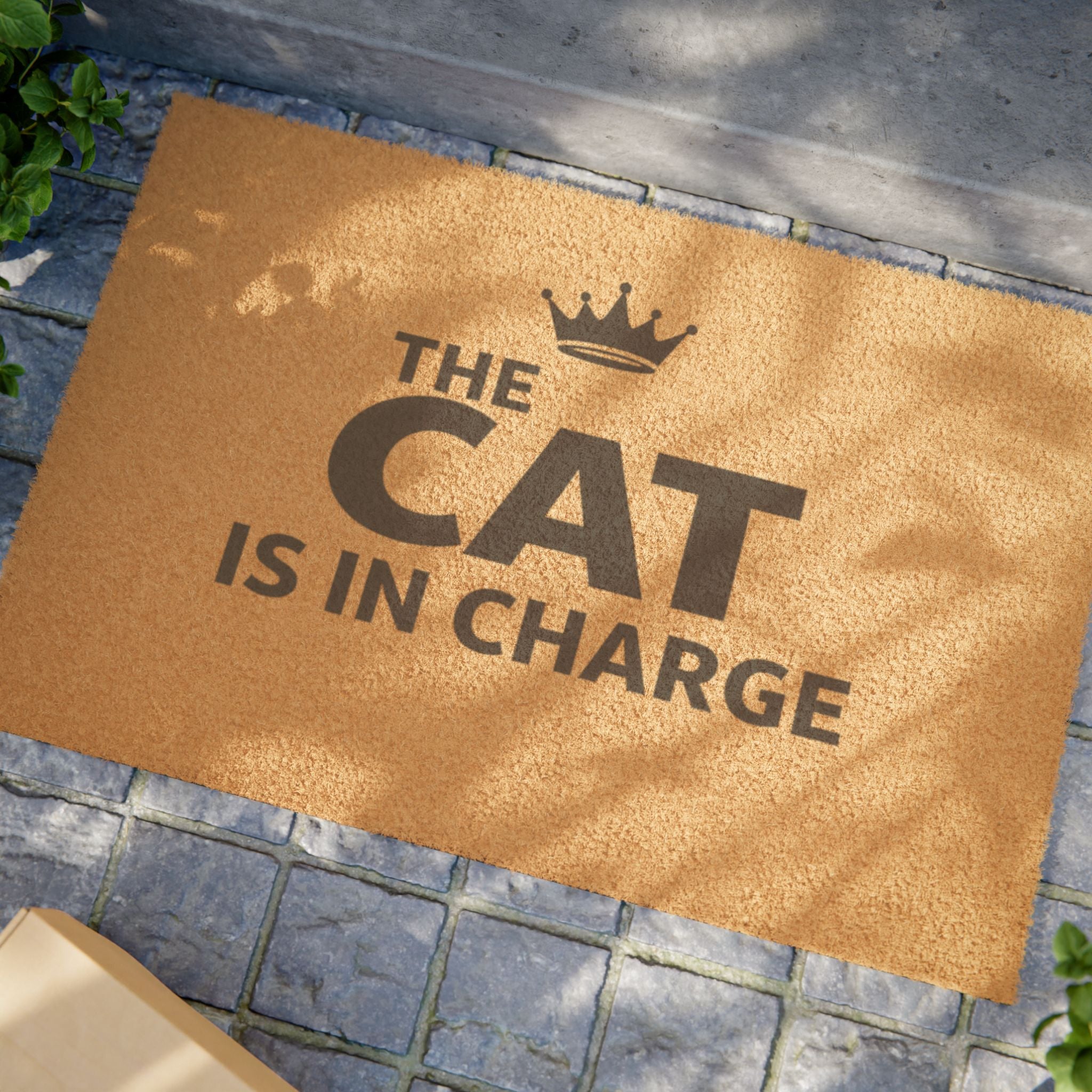 Cat Is In Charge Doormat — Funny Welcome Mat for Cat Lovers, Crown Design