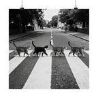 Cat Crossing Abbey Road — Black & White Matte Vertical Poster