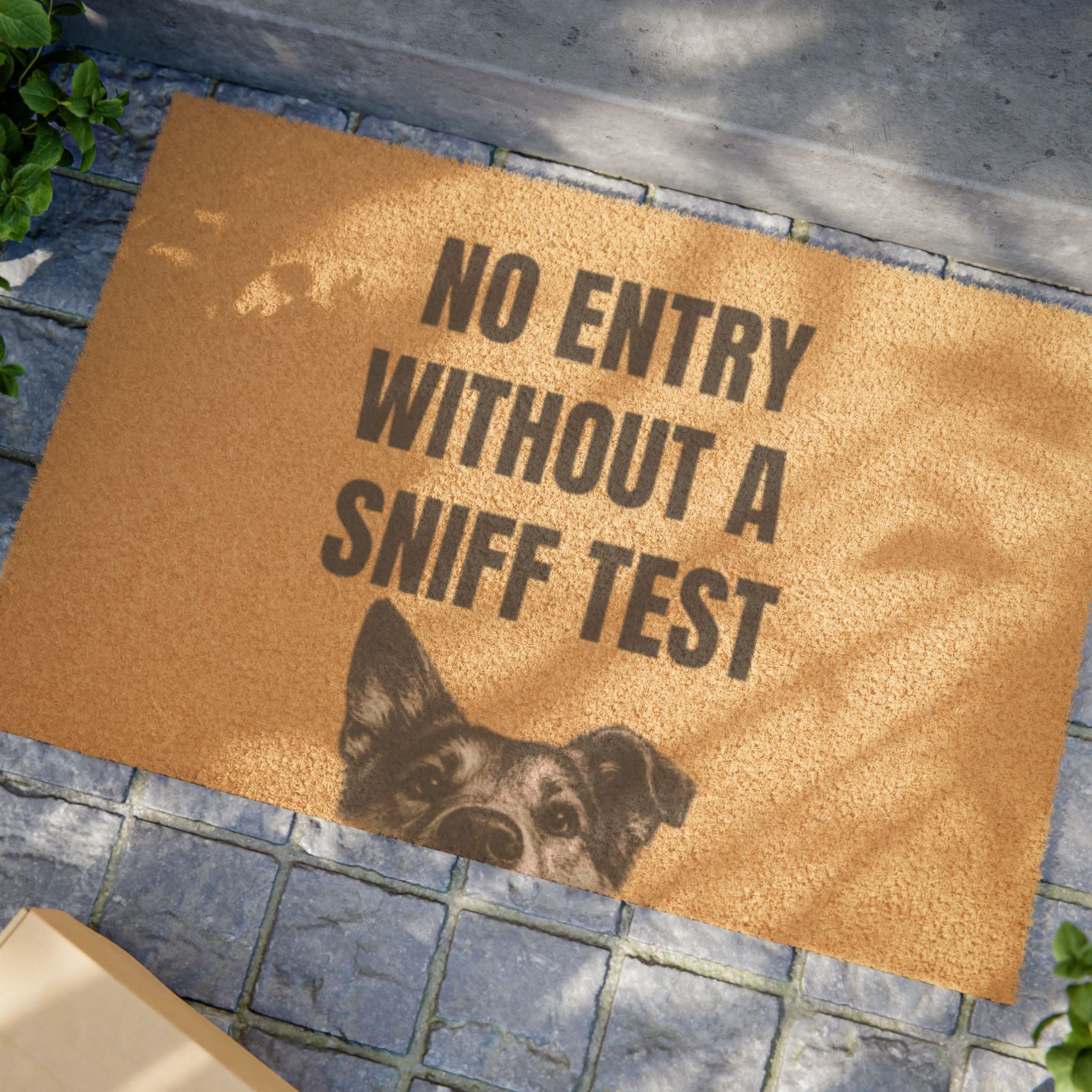 Doormat — "No Entry Without a Sniff Test" Funny Dog Welcome Mat