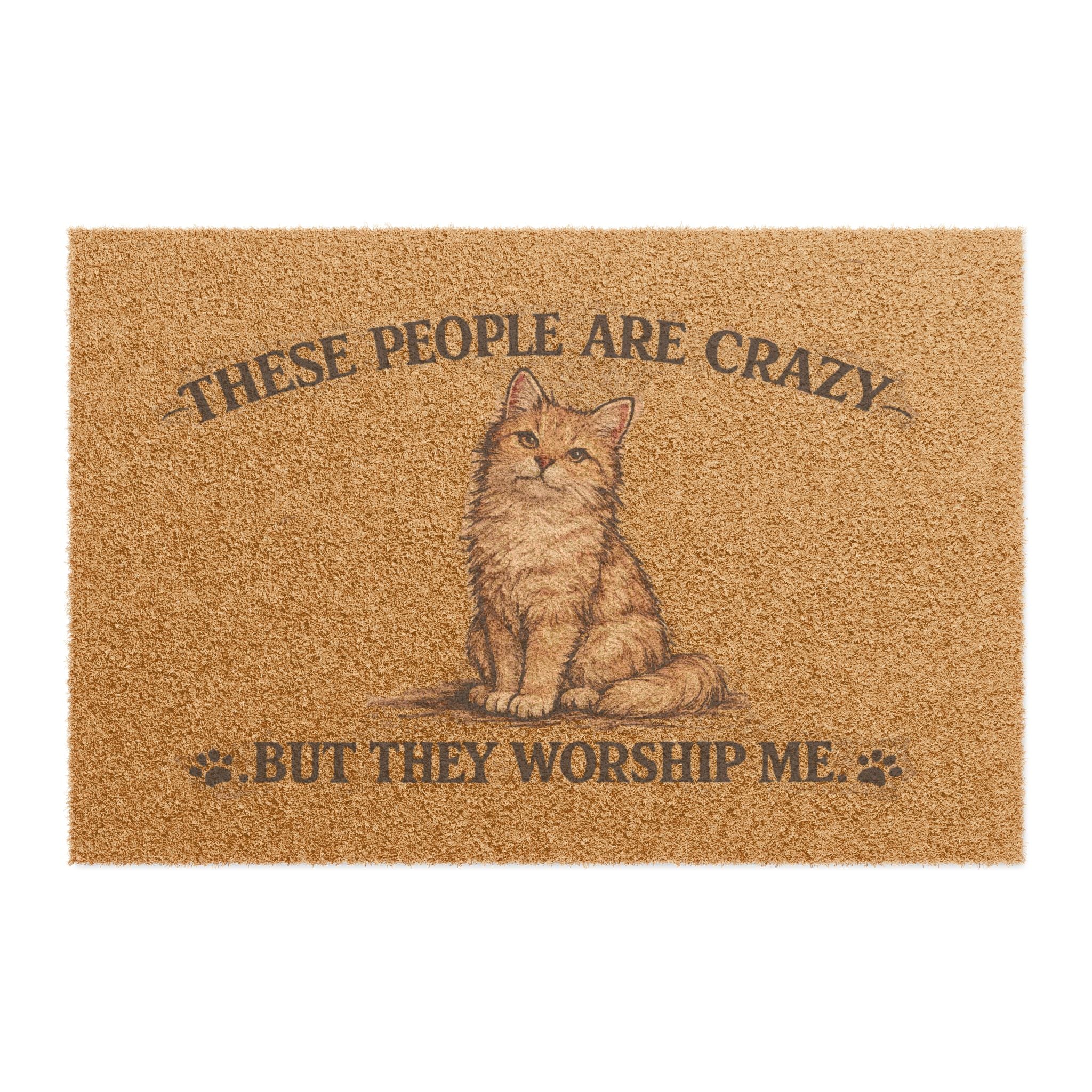 Cat Doormat — "These People Are Crazy But They Worship Me" Funny Pet Welcome Mat