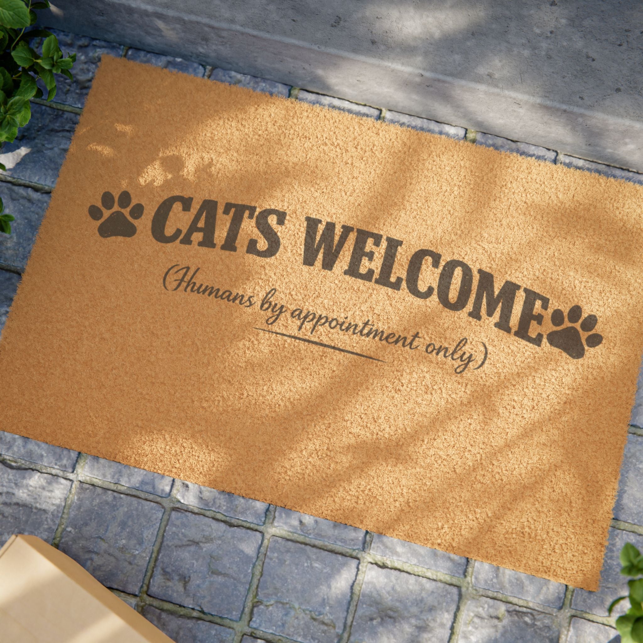 Cats Welcome Doormat — "Humans by Appointment Only" Funny Cat Lover Welcome Mat