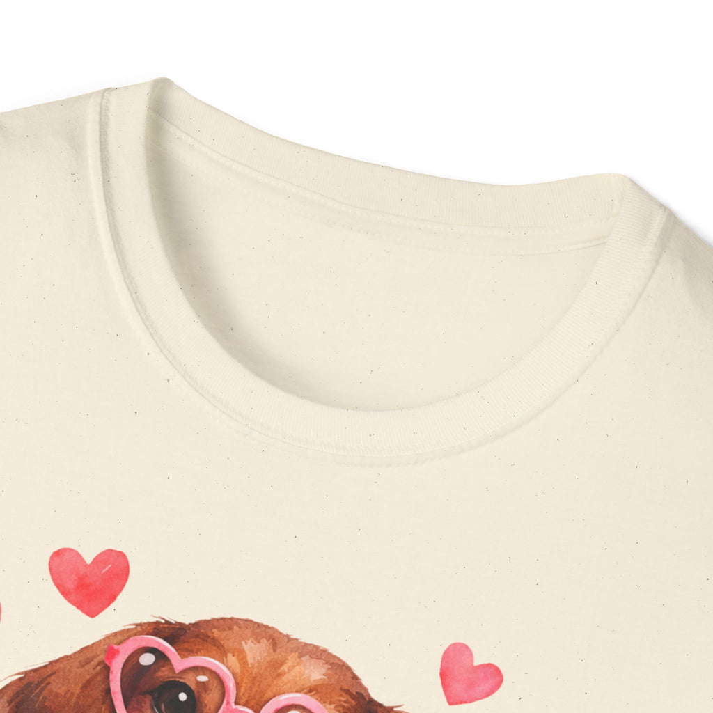 All You Need Is Love and a Dog Dachshund T-Shirt