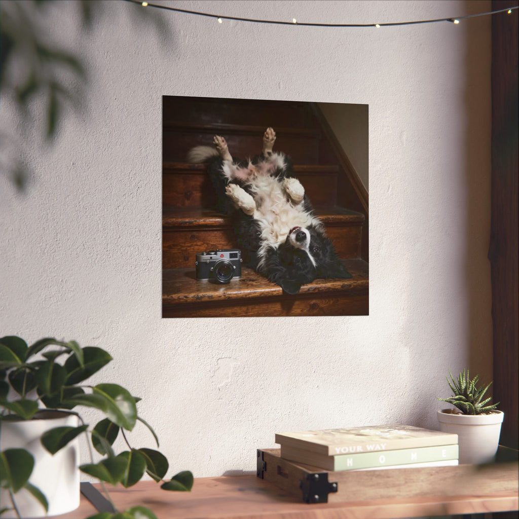 Border Collie Stairway Photo Poster — Playful Dog Wall Art
