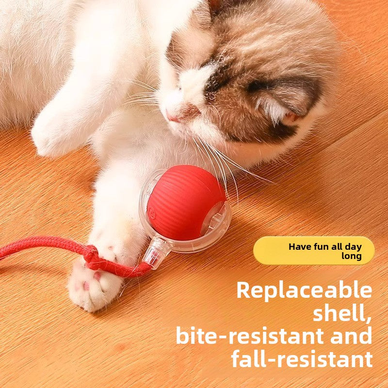 Electric Automatic Cat Teaser Ball with Adjustable Speed