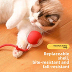 Electric Automatic Cat Teaser Ball with Adjustable Speed