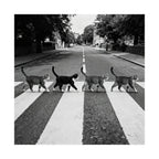 Cat Crossing Abbey Road — Black & White Matte Vertical Poster