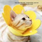 Cat Pet Collar