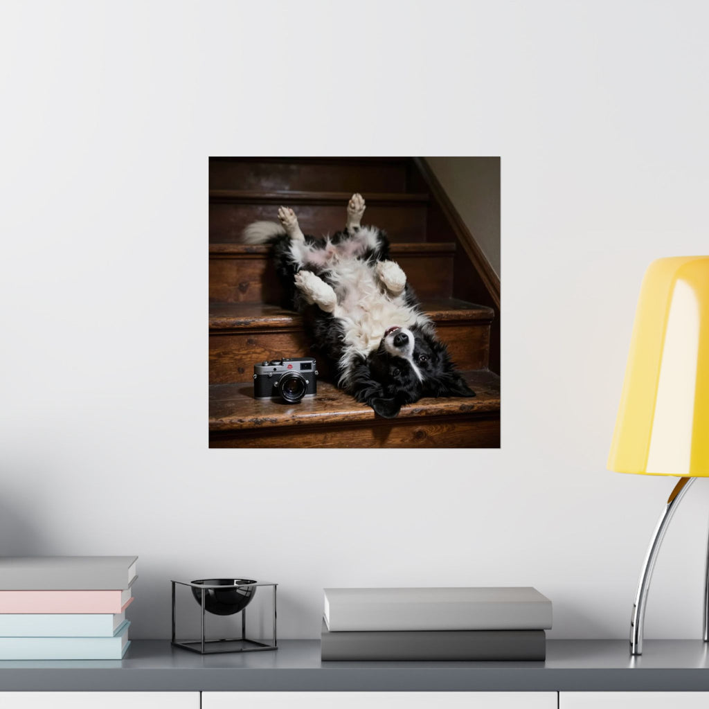 Border Collie Stairway Photo Poster — Playful Dog Wall Art