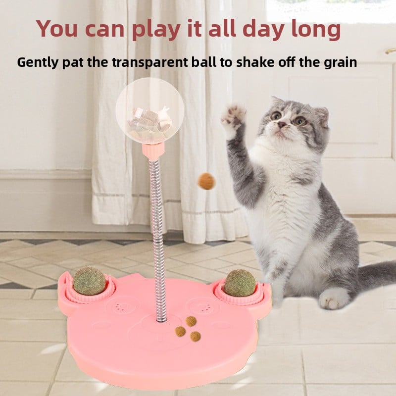 Throwing the cat a ball to distract it while avoiding feeding it