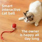 Electric Automatic Cat Teaser Ball with Adjustable Speed