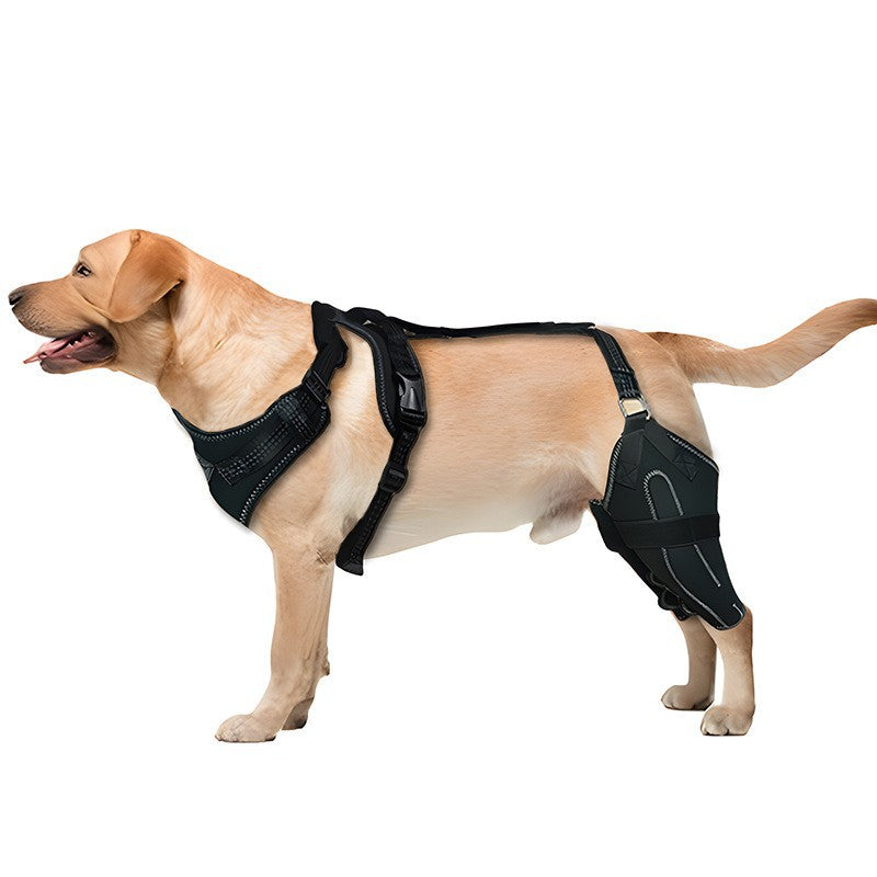 Dog Leg Protection