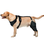 Dog Leg Protection