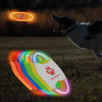 Pet toy frisbee
